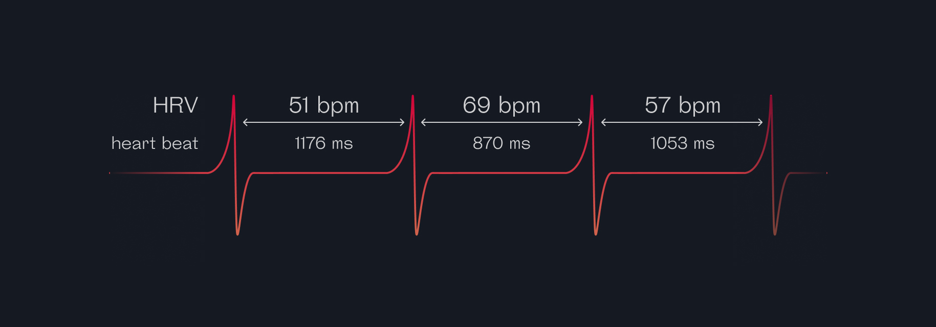 What Is Heart Rate Variability? How To Understand And Check It - Welltory