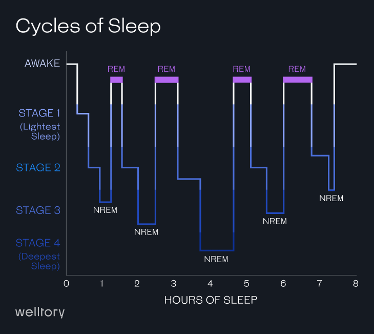 Stages or cycles of sleep explained with timeframes