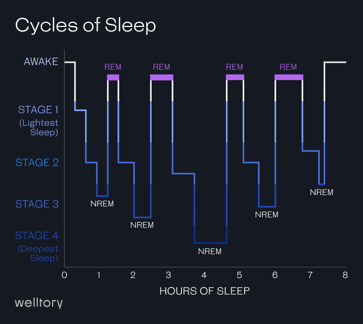 rem sleep