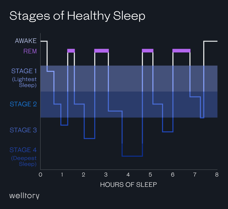 Stages of sleep cycles
