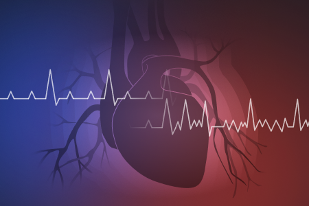 Aerobic heart rate zone - Welltory